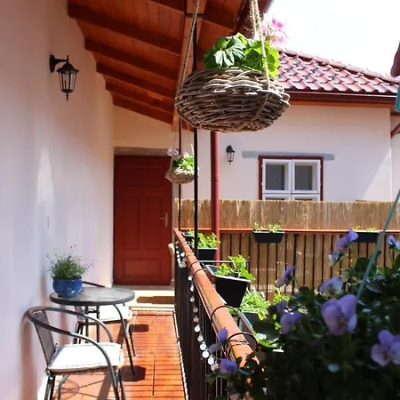 Historical Zaffir House - Market Square Hébergement de vacances *