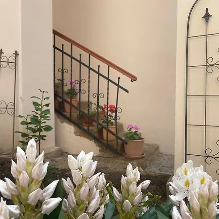 Historical Zaffir House - Market Square Levoča